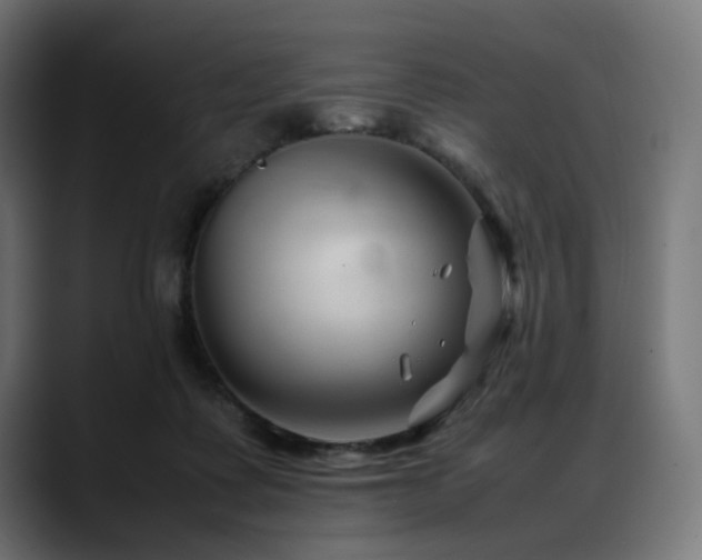 X0000088620315200705251246