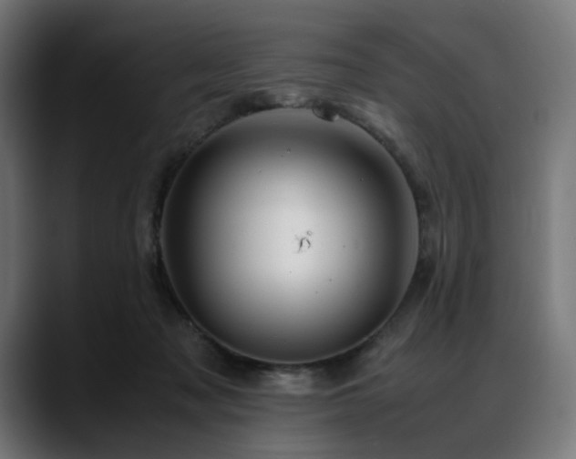 X0000088620317200705251246