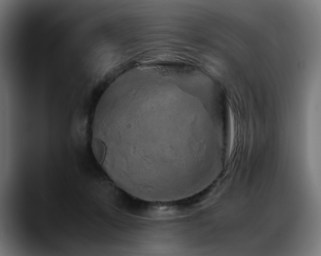 X0000088620319200705251246
