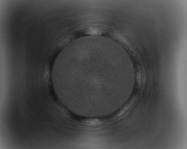 X0000088620322200705251246
