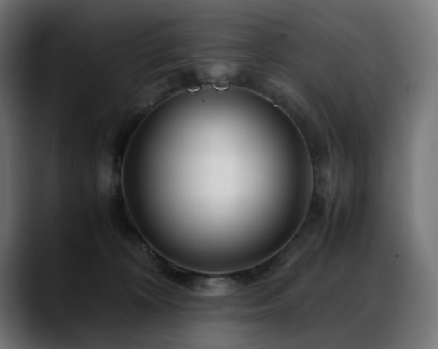 X0000088620324200705251246