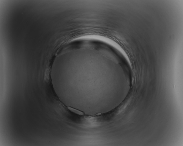 X0000088620325200705251246