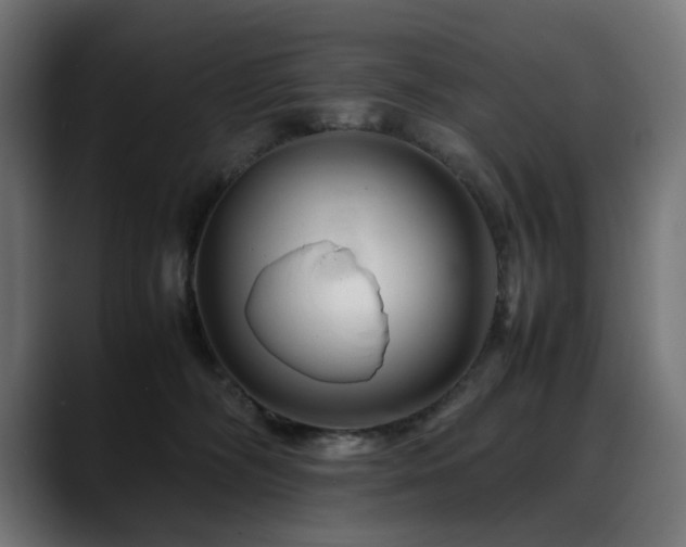 X0000088620326200705251246
