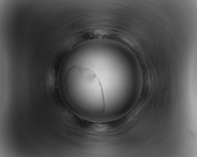 X0000088620328200705251246