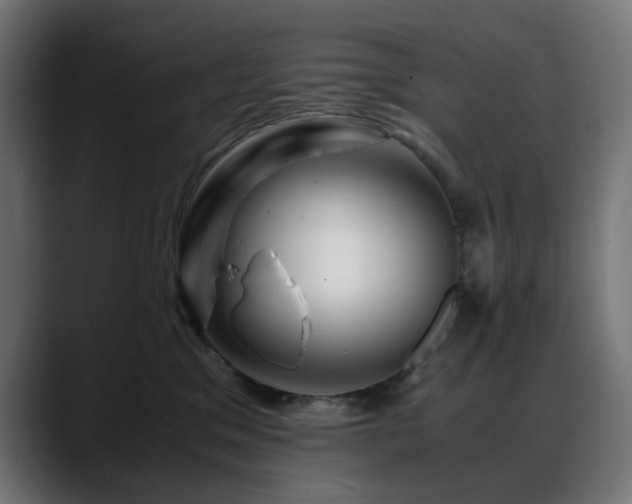 X0000088620329200705251246