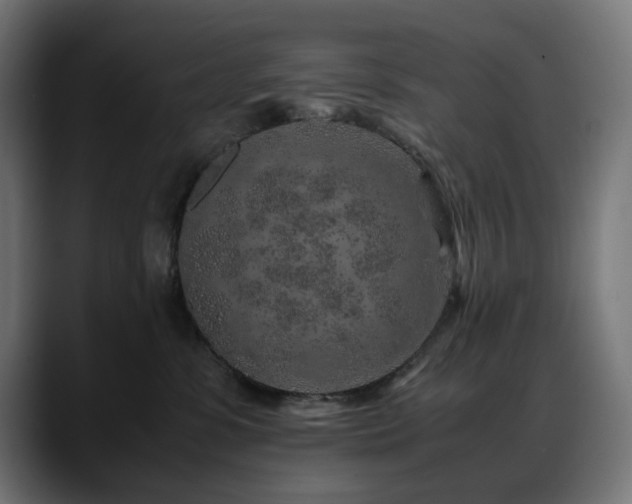 X0000088620331200705251246