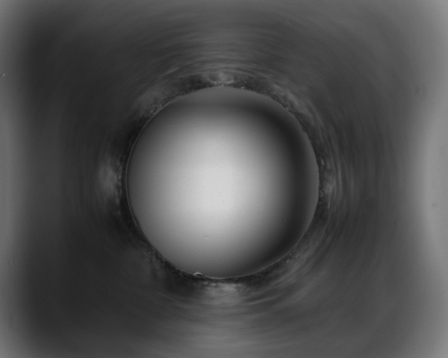 X0000088620332200705251246