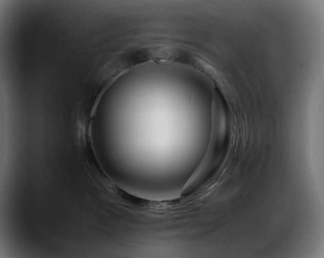X0000088620333200705251246