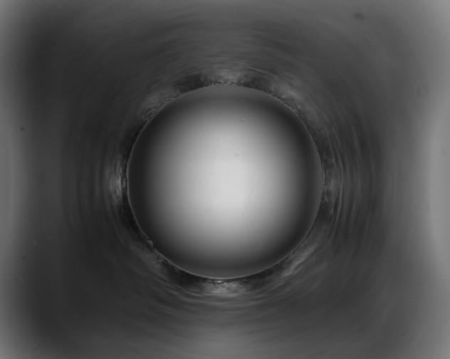 X0000088620334200705251246