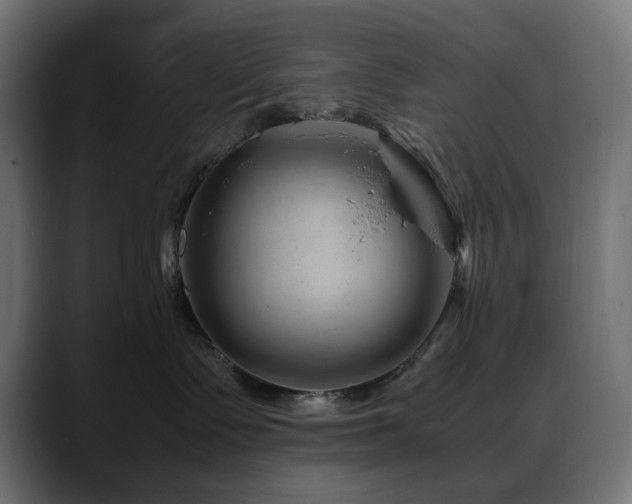 X0000088620335200705251246