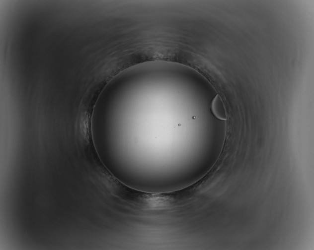 X0000088620336200705251246