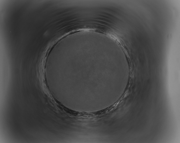 X0000088620337200705251246