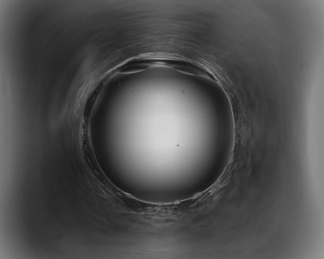 X0000088620338200705251246