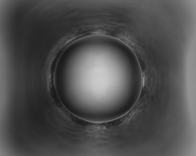 X0000088620339200705251246