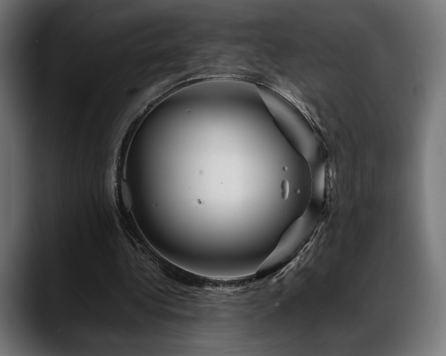 X0000088620340200705251246