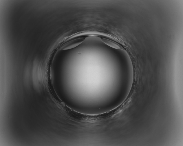 X0000088620341200705251246