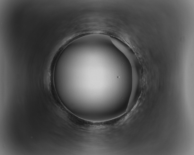 X0000088620342200705251246