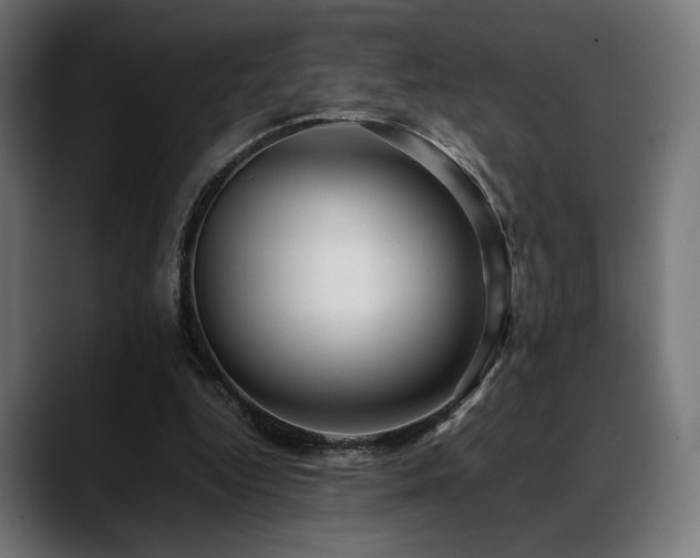 X0000088620344200705251246