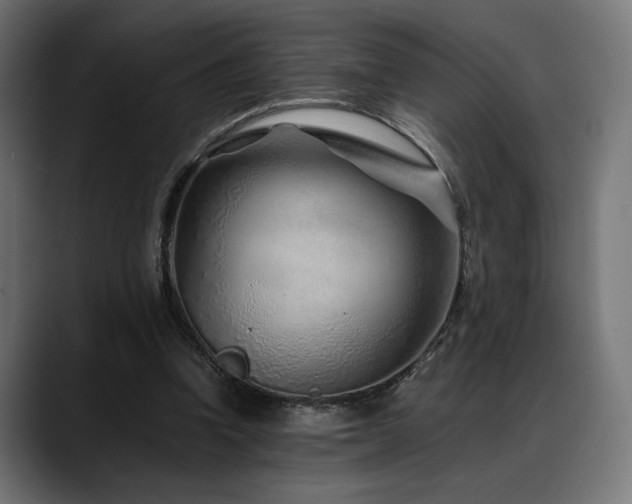 X0000088620346200705251246