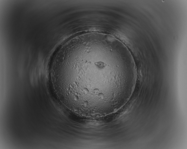 X0000088620347200705251246