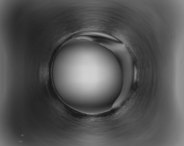 X0000088620348200705251246