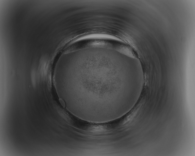 X0000088620349200705251246
