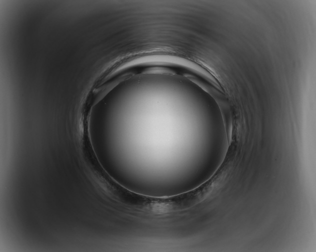 X0000088620350200705251246