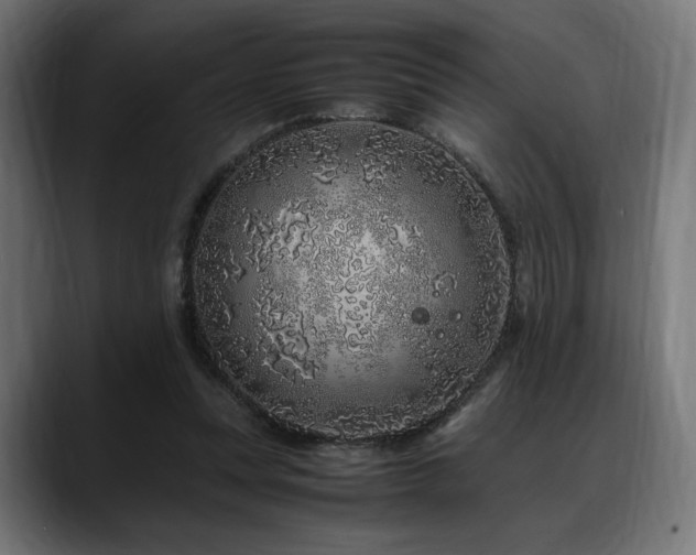 X0000088620351200705251246