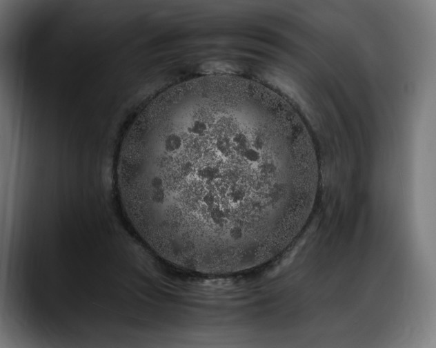X0000088620353200705251246