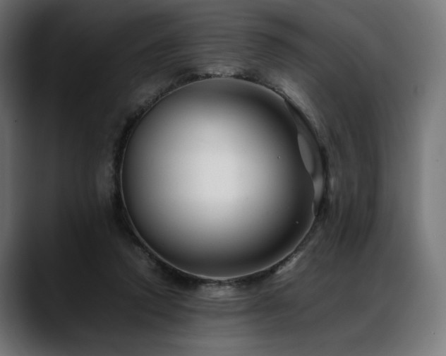 X0000088620354200705251246