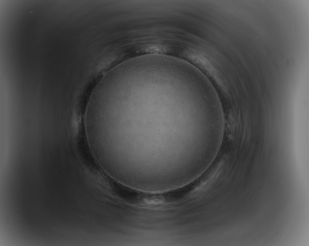 X0000088620355200705251246