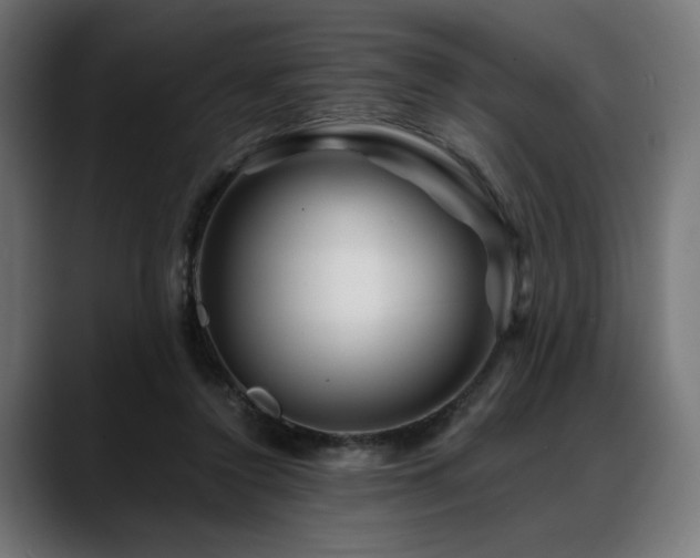 X0000088620356200705251246