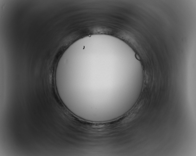 X0000088620357200705251246