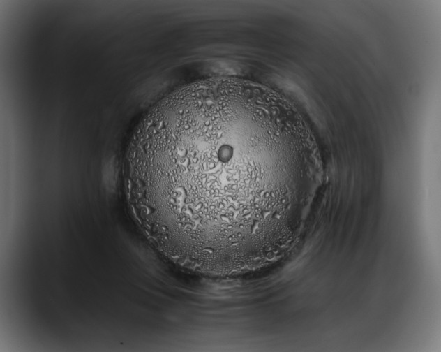 X0000088620359200705251246