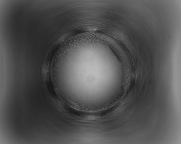 X0000088620360200705251246