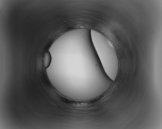 X0000088620361200705251246