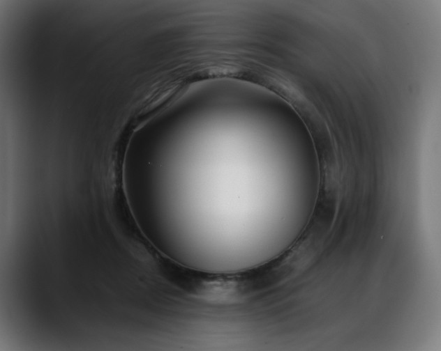 X0000088620362200705251246