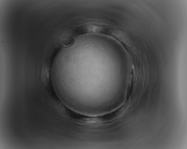 X0000088620363200705251246