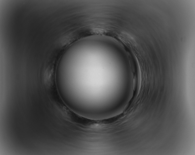 X0000088620364200705251246
