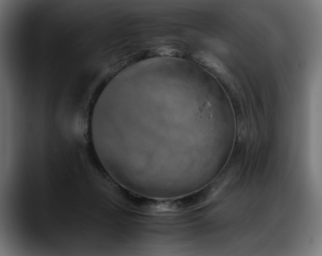 X0000088620365200705251246