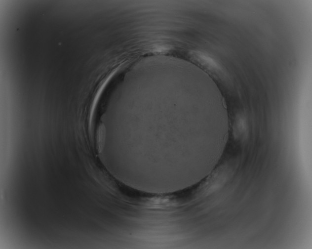 X0000088620366200705251246
