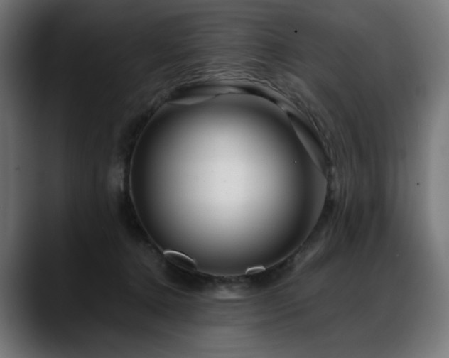 X0000088620368200705251246