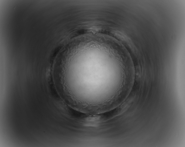 X0000088620369200705251246