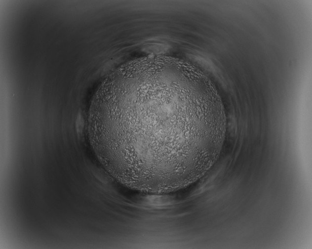 X0000088620371200705251246