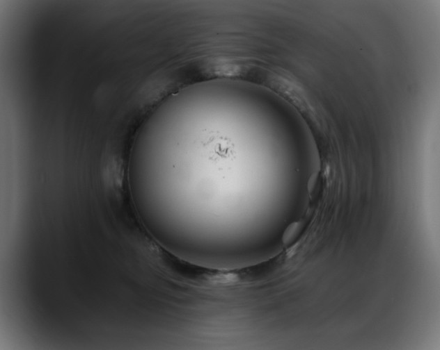 X0000088620374200705251246