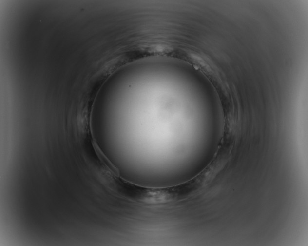 X0000088620376200705251246