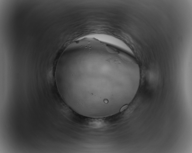 X0000088620377200705251246