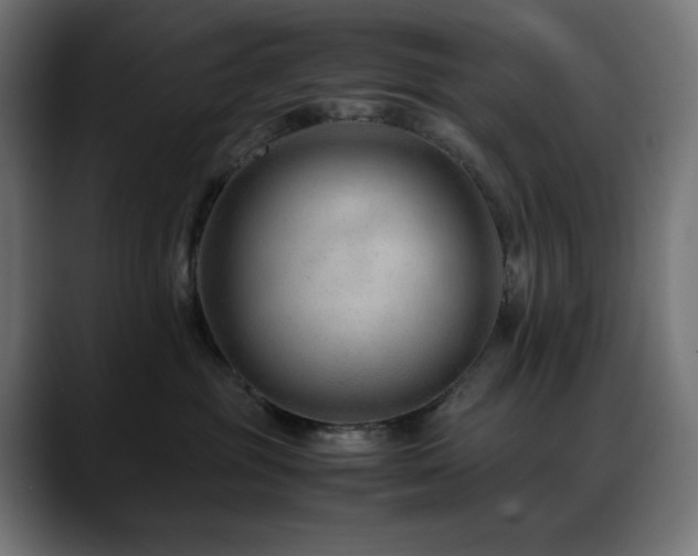 X0000088620381200705251246