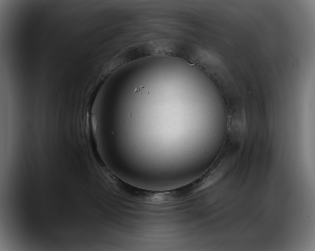 X0000088620382200705251246