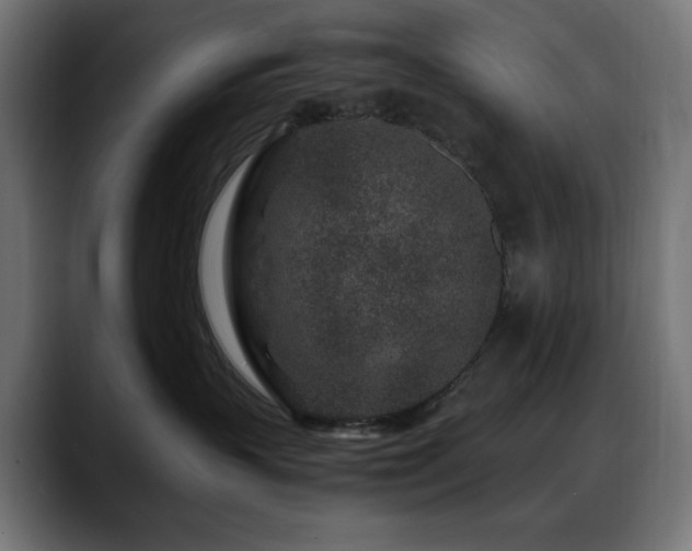 X0000088620383200705251246